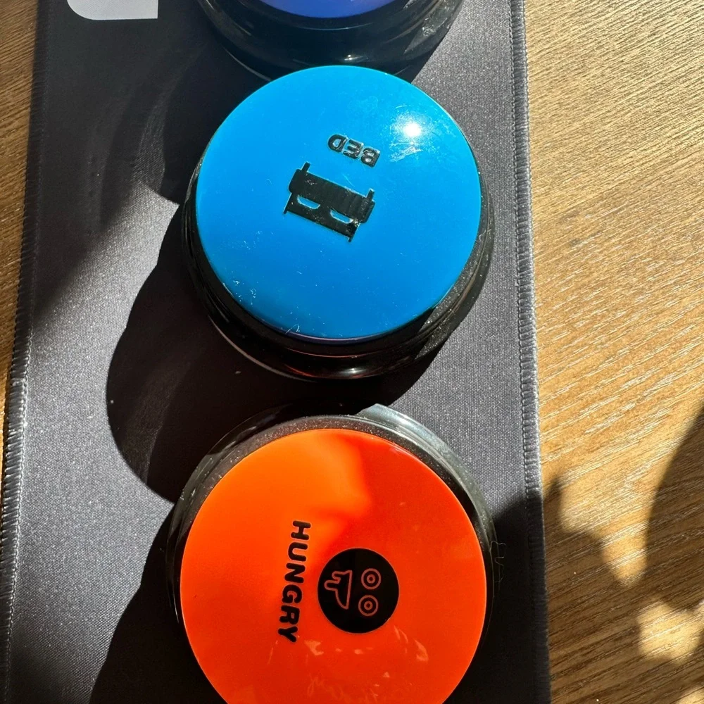 Dog training button voice set